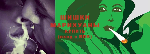 бошки Новодвинск