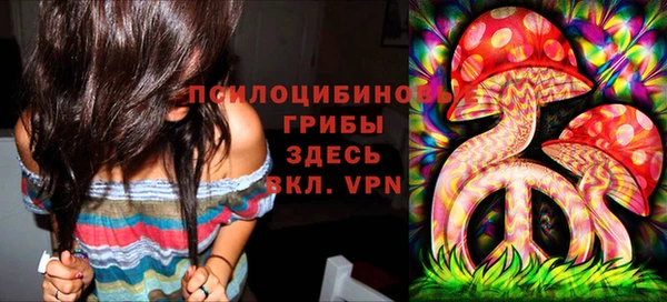 бошки Новодвинск