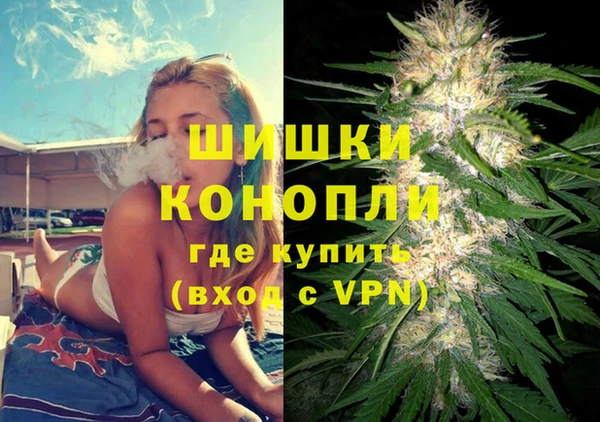 сатива Грязи