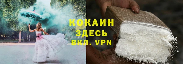бошки Новодвинск